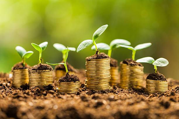 伯利兹金融牌照为何受金融机构青睐?